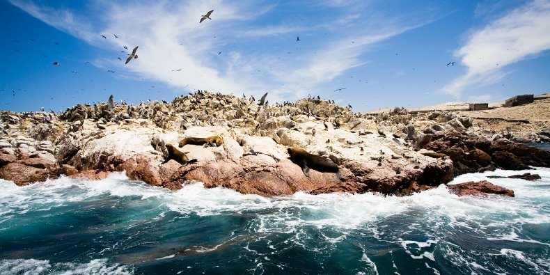 ballestas islands paracas